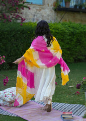 2 Combo Suit Set With Dupatta